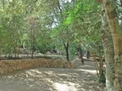 Camping Pitrera Village - Camping Corse du Sud - Image N°10
