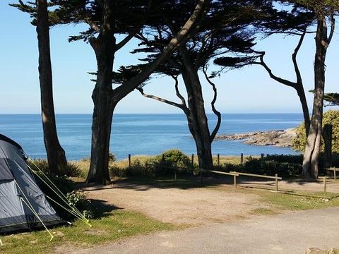 Camping Eleovic - Camping Loire-Atlantique - Image N°9