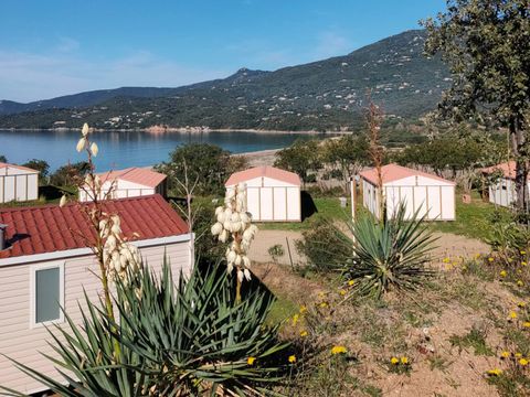 CHALET 5 personnes - Chalet Standart - Samedi - Courts séjours