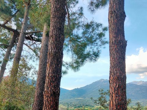 MOBILHOME 5 personnes - IRM - Samedi