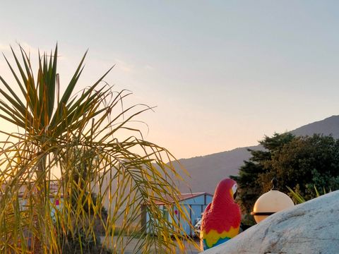 Camping Tikiti - Camping Corse du Sud - Image N°39