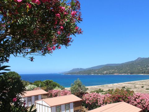 Camping Tikiti - Camping Corse du Sud - Image N°19