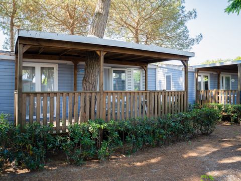 LODGE 4 personnes - Lodge Comfort Dog