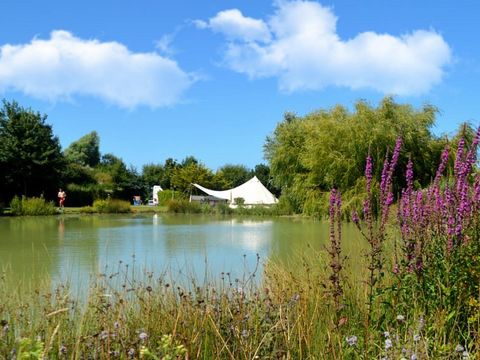 Camping Port'land  - Camping Calvados - Image N°39