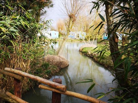 Camping Port'land  - Camping Calvados - Image N°16