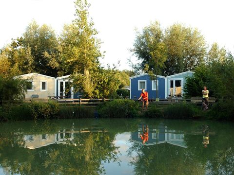 Camping Port'land  - Camping Calvados - Image N°37