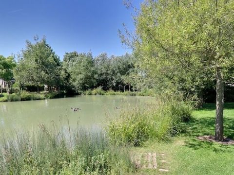 Camping Port'land  - Camping Calvados - Image N°13