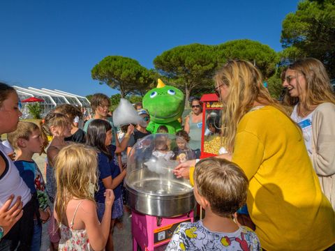 Flower Camping Le Bois d'Amour  - Camping Morbihan - Image N°46