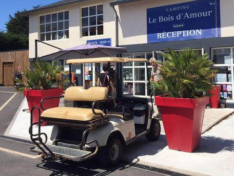 Flower Camping Le Bois d'Amour  - Camping Morbihan - Image N°19