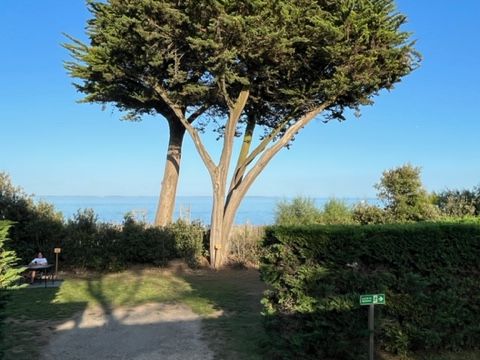 MOBILHOME 6 personnes - GREBE CASTAGNEUX - MH 89 - Breiz Iloc