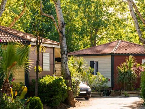 CHALET 4 personnes - Confort 