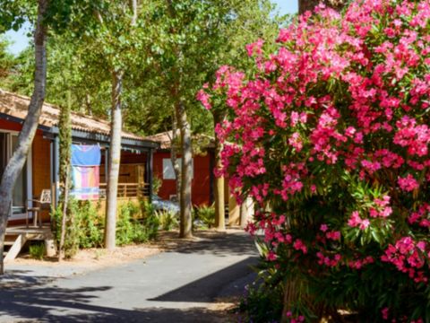 CHALET 4 personnes - Confort 