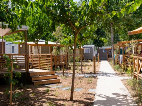 MOBILHOME 2 personnes - SUNELIA MH PRESTIGE 1 CH 1 SDB