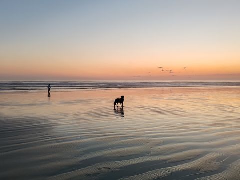 Camping Les Peupliers - Camping Finistère - Image N°6