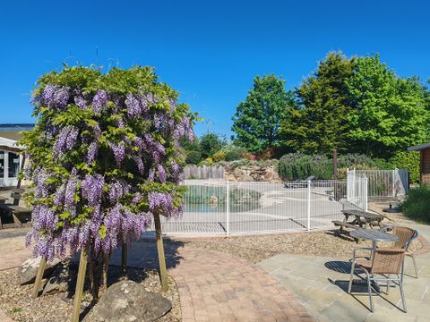 Camping Les Peupliers - Camping Finistère - Image N°47