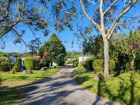 Camping Les Peupliers - Camping Finistère - Image N°5