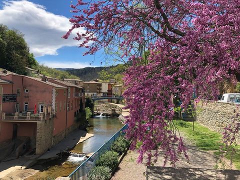 Camping La Bernede  Camping La Bernede  - Camping Aude - Image N°11