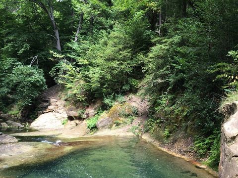 Camping La Bernede  Camping La Bernede  - Camping Aude - Image N°13