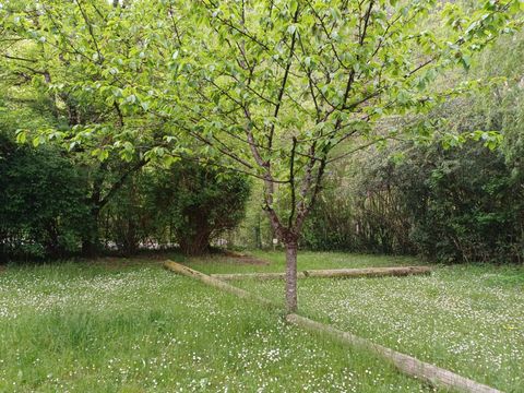 Camping La Bernede  Camping La Bernede  - Camping Aude - Image N°22