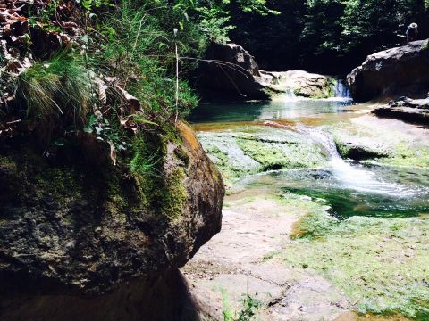 Camping La Bernede  Camping La Bernede  - Camping Aude - Image N°19