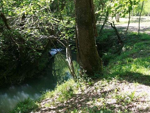Camping Domaine du Lac de Neguenou - Camping Lot-et-Garonne - Image N°46