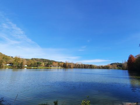 Camping Domaine du Lac de Neguenou - Camping Lot-et-Garonne - Image N°24