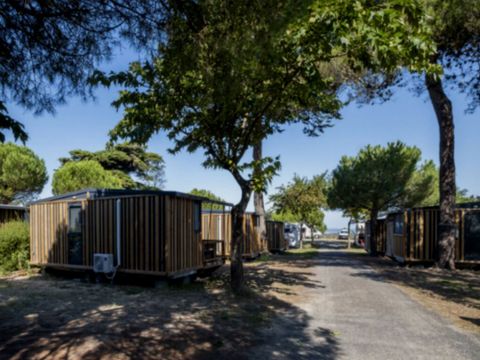 LODGE 5 personnes - Tiny lodge 2 Chambres 5 Personnes