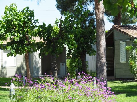 Camping Stel - Roda de Bara - Camping Tarragone - Image N°16