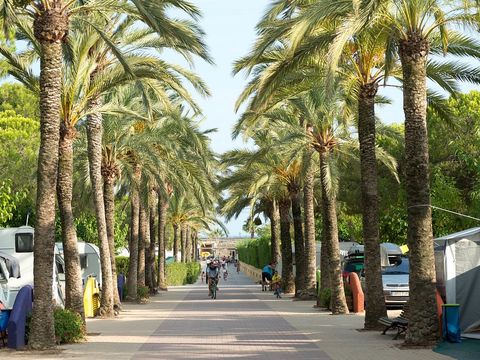 Camping Stel - Roda de Bara - Camping Tarragone - Image N°56