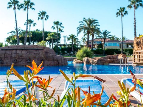 Camping Stel - Roda de Bara - Camping Tarragone - Image N°46