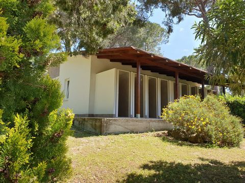 Camping Aurelia Club - Camping Rome - Image N°36
