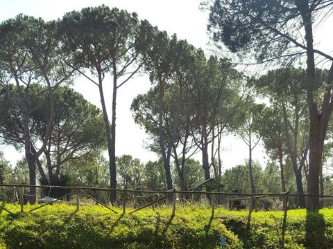 Camping Aurelia Club - Camping Rome - Image N°14
