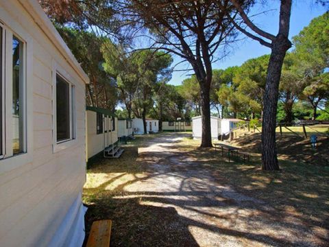 Camping Aurelia Club - Camping Rome - Image N°17