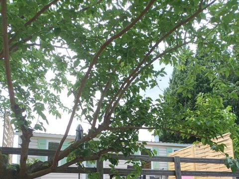 MOBILHOME 4 personnes - confort TATIANA - 23m² (2 chambres)