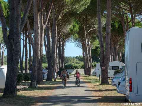 Camping de Vaudois - Camping Var - Image N°7
