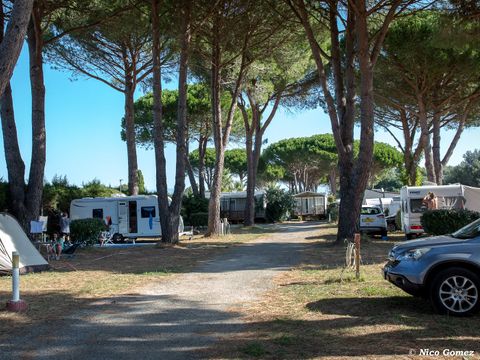Camping de Vaudois - Camping Var - Image N°15