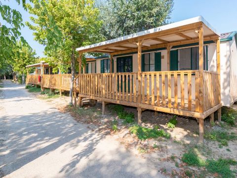 LODGE 4 personnes - Lodge Comfort Dog