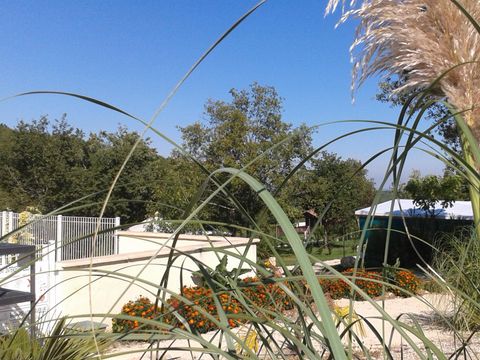 Camping Bellevue - Camping Lot - Image N°42
