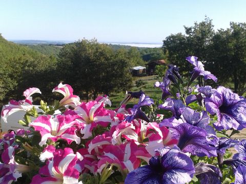 Camping Bellevue - Camping Lot - Image N°32
