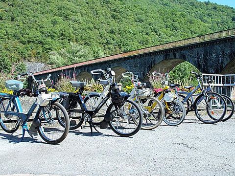 Camping L'Ecrin Vert - Camping Aveyron - Image N°9