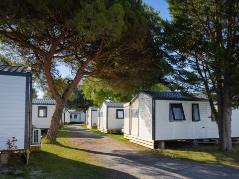Camping Campeole Pontaillac-plage - Camping Charente-Maritime - Image N°25