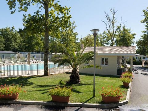 Camping Les Chèvrefeuilles  - Camping Charente-Maritime - Image N°23