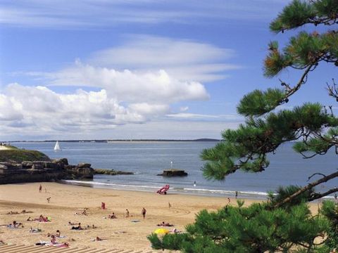 Camping Les Chèvrefeuilles  - Camping Charente-Maritime - Image N°32