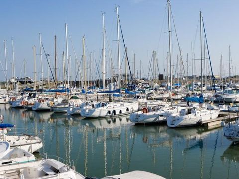 Camping Les Chèvrefeuilles  - Camping Charente-Maritime - Image N°34