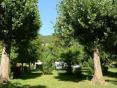 Emplacement - Voiture + tente/caravane ou camping-car