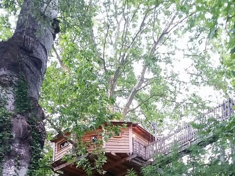 Camping Universal - Camping Gard - Image N°38