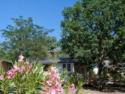 CHALET 5 personnes - CONFORT CERISIER