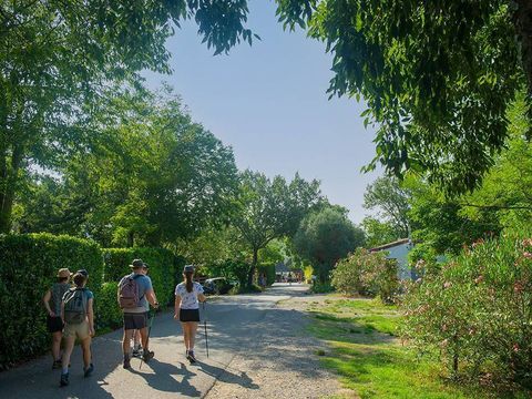 Camping Sites et Paysages - Le Petit Bois - Camping Ardèche - Image N°12