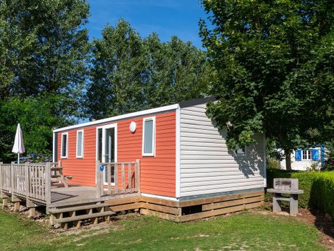 Flower Camping Vitamin - Camping Seine-Maritime - Image N°32