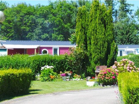 Flower Camping Vitamin - Camping Seine-Maritime - Image N°45